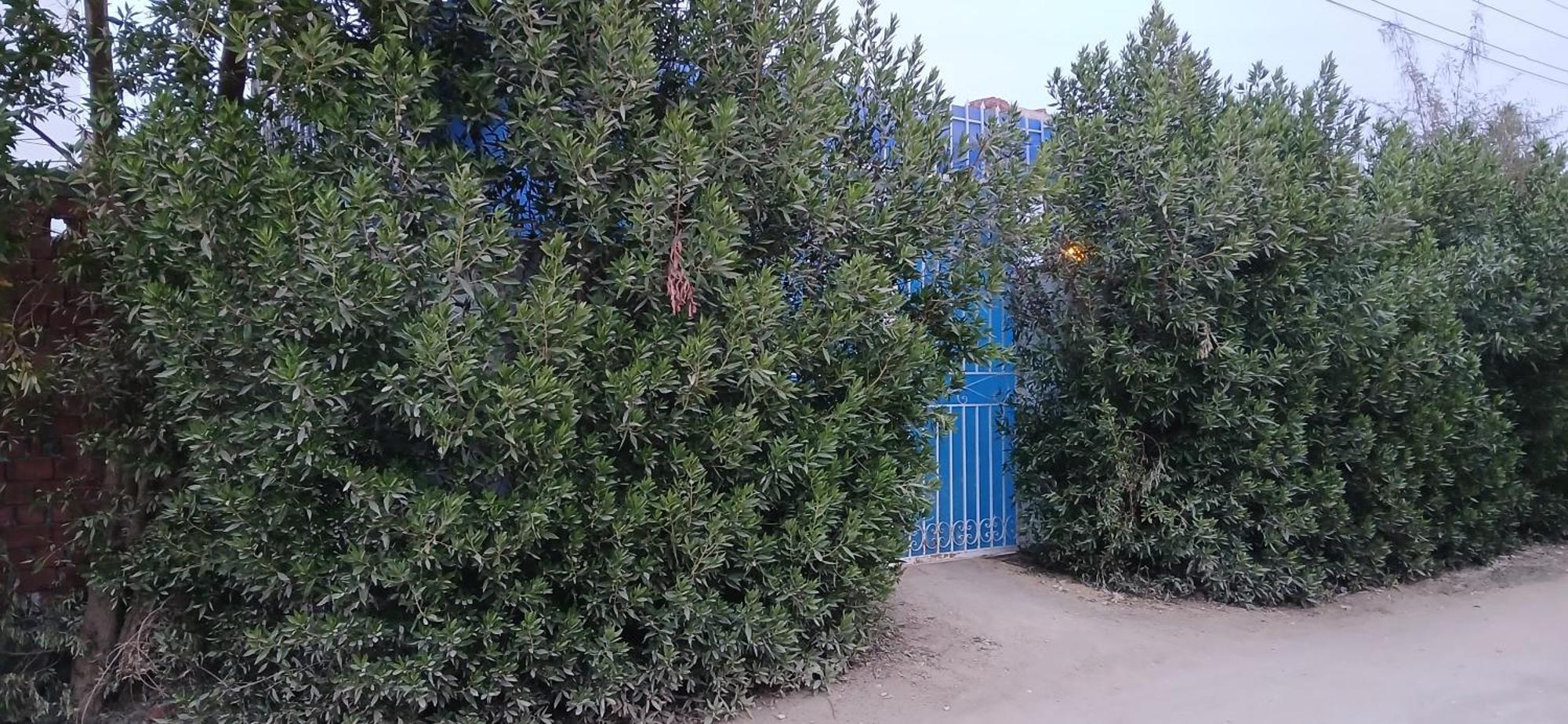 Studio House לוקסור מראה חיצוני תמונה